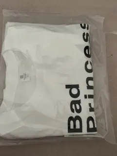 Item thumbnail for item 281abcb7-16a8-461b-ab3e-9c2dc1182529