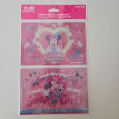 新品未使用　ポストカード2枚セット　ミニーのファンダーランド　パルパルーザ