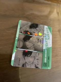 WIND BREAKER クリアカード 桜遥 ホログラム加工