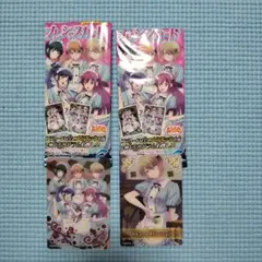 プレシャスカード 2枚セット Akane Hououji