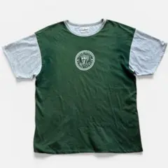 90's CANADA製 POLO SPORT リバーシブルTシャツ ツートン