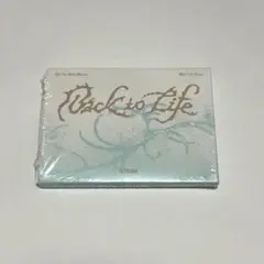 &TEAM BacktoLife CD-R 新品未開封