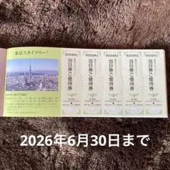 東京スカイツリー当日券ご優待券 5枚セット 東武鉄道株主優待