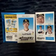 ソフトバンクホークス　ファンフェス　バリタカ球宴　証明写真風スマロイド　緒方理貢