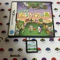 DSソフト　おいでよ どうぶつの森