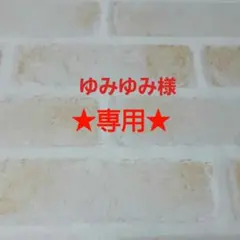 【ゆみゆみ様専用ページ】