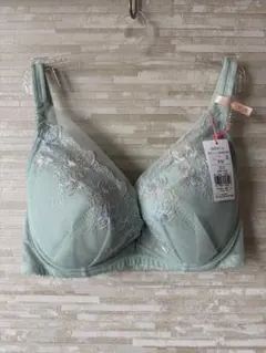 F70」トリンプ 南国花チャーミングラマー スリムライン DeepV ブラジャー