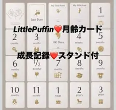 Item thumbnail for item 9a9da8de-39b1-4f48-baa3-960759dae627