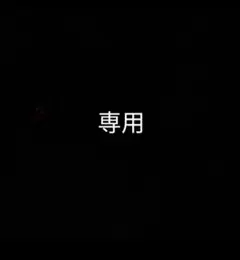 nkjd様 リクエスト 2点 まとめ商品