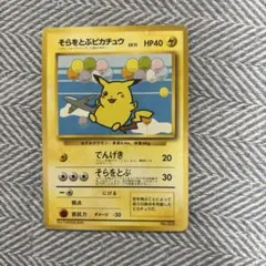 そらをとぶピカチュウ_ANA 「みんなにうれしいキャンペーン