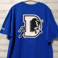 GILDAN Tシャツ　XL　バックプリント　カレッジ　USA古着