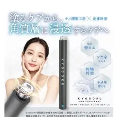 KYOGOKU DERMA NEEDLE BOOST DEVICE 本体と針二箱 KYOGOKU DERMA NEEDLE BOOST DEVICE 本体と針二箱 - メルカリ