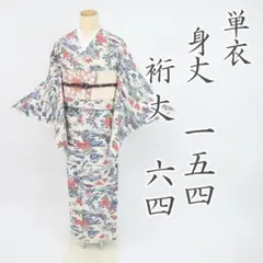 【単衣】小紋＊紅型調 網干に笹菊模様 白地 普段着物 正絹 カジュアル5KS21