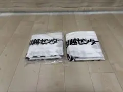 サカイ引越センター 布団袋 2枚セット