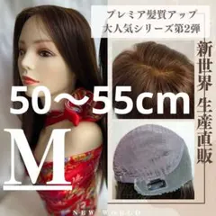 2024新世界　人毛100%ウィッグ　フルウィッグ　レースフロント　医療ウィッグ