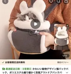 Item thumbnail for item fddb7319-5b1b-413d-b7a3-6a60c3ecccd5