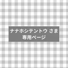ナナホシテントウ さま 専用ページ