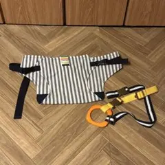 Item thumbnail for item 0ba84fb1-efd8-4435-8df4-3167af8545cd