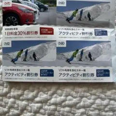 日本駐車場開発 スキー場 アクティビティ割引券 駐車場30%割引