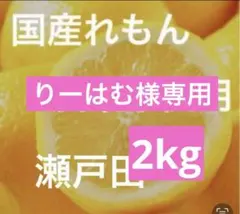 りーはむ様専用レモン2kg