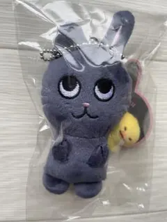 2026年最新】Riize ウォンビン ぬいぐるみの人気アイテム - メルカリ