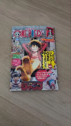 ONE PIECE magazine ワンピース　マガジン　カードなし　⑳