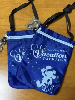 バケーションパッケージ ポシェット ポーチ ミッキー ディズニー