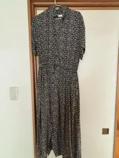 Item thumbnail for item 640b6343-551b-496f-b8c0-4ab183091afa