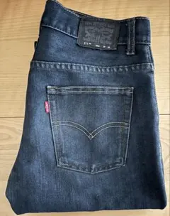 Levi's 511 W29 L29インチ ストレートデニム