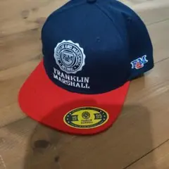 Item thumbnail for item 58fd1702-a39a-4e4b-b390-26e4df819278