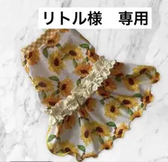 Item thumbnail for item ff8babb7-994f-470b-b87a-d51e15647b8c