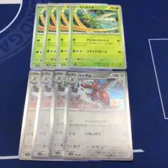 ストライク　ハッサム　進化ライン　ポケカ