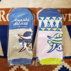 「ARASHI BLAST in Miyagi」のグッズ 靴下色違い 2点セット