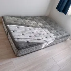 Sealy シーリーJPチタンコレクション ラグラス マットレス ダブル