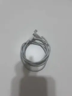 Apple USB-C to Lightning ケーブル