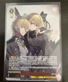 双子の撮影 アクア - メルカリ