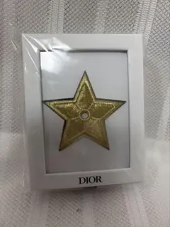 Dior ディオール スターピンバッジ ラッキースター