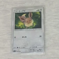 2026年最新】ポケモンカード イーブイ プロモカードの人気アイテム