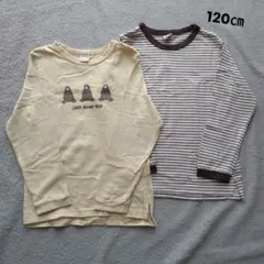プティマイン　長袖Tシャツ　120cm　２枚セット
