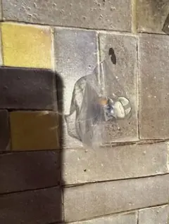 ズートピア　フィギュア 3点セット