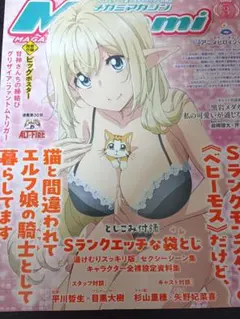メガミマガジン　2025年3月号　付録完備