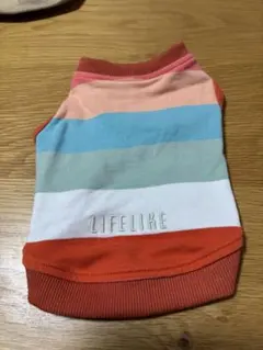 Item thumbnail for item ce731922-464d-4bce-a893-0b2f7d4b5a30