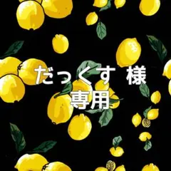 シール帳 クリア シール 手帳 A7 6穴 ピンク リフィル10枚セット