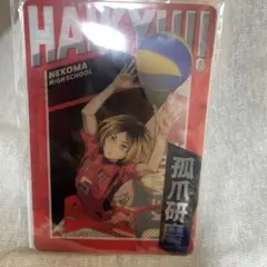 ハイキュー!! ゴミ捨て場の決戦　弧爪研磨