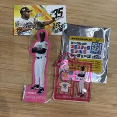 ソフトバンクホークス　モイネロ投手