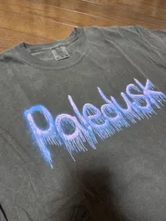 2026年最新】paledusk tシャツの人気アイテム - メルカリ