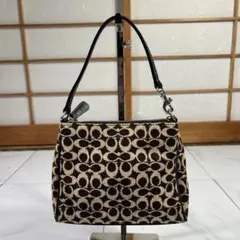 COACH コーチ シグネチャー アクセサリーポーチ　ハンドバッグ 8132