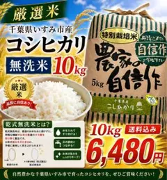 数量限定 厳選米 千葉県いすみ市産 コシヒカリ 無洗米 10kg 5kg×2