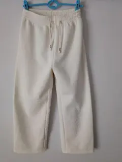 ❀極暖❀コ―デュロイ厚みストレートパンツ低身長さんXL