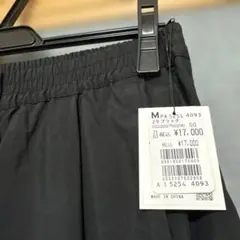 Item thumbnail for item f16d086d-1349-4947-9794-5925159c3125